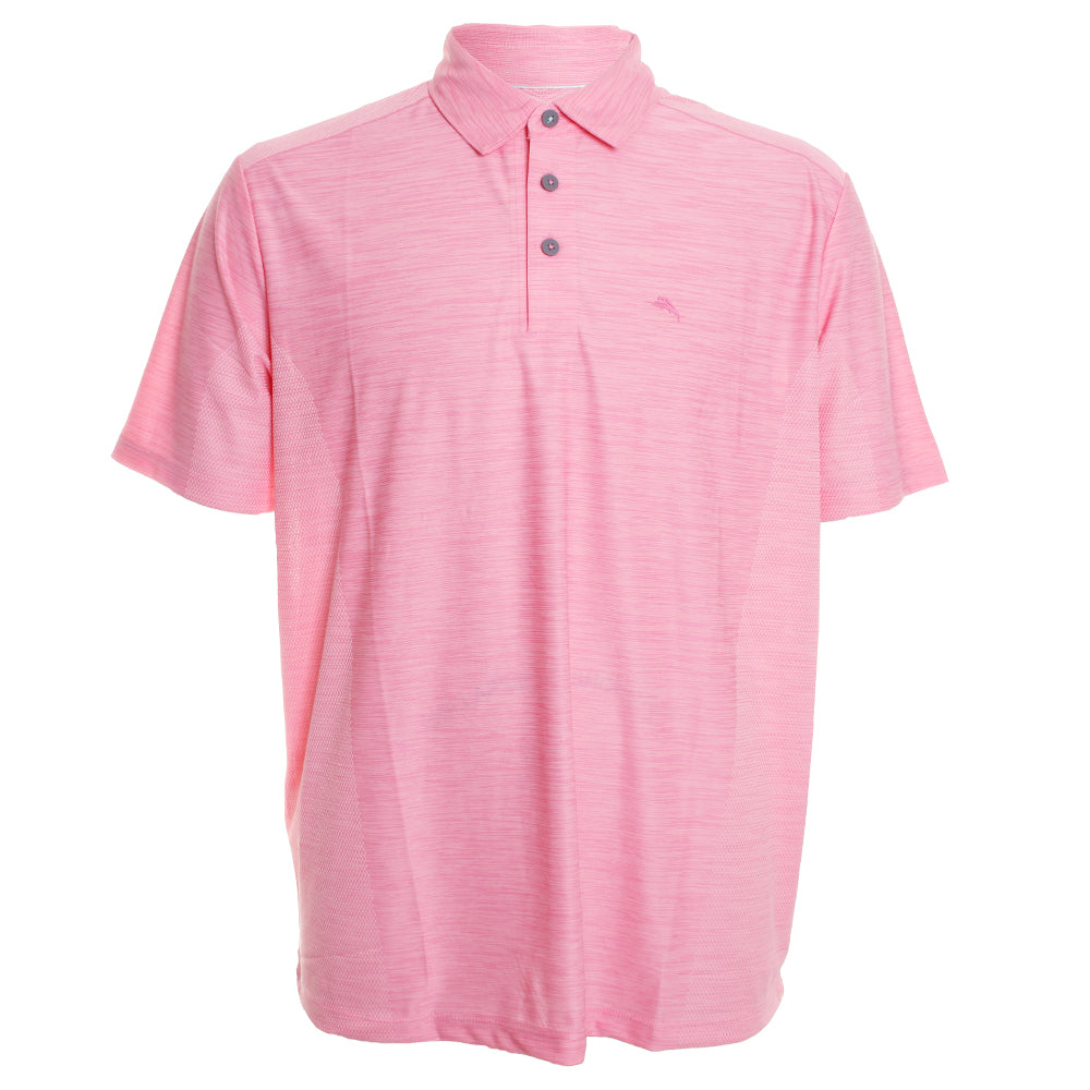 Palm Coast Polo